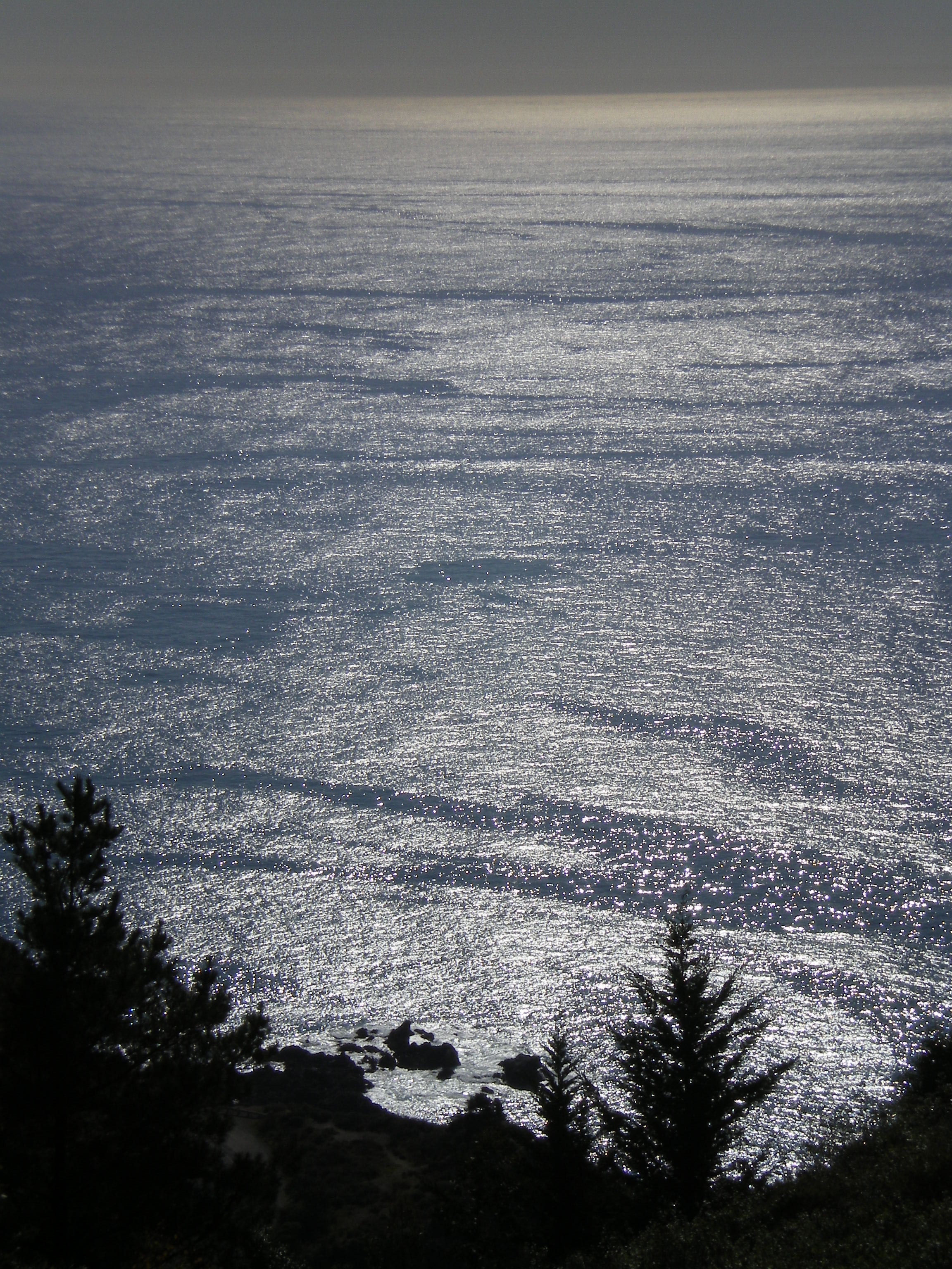 Coastal Mountain